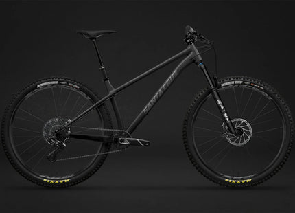 Santa Cruz Chameleon