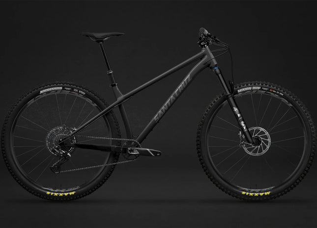 Santa Cruz Chameleon