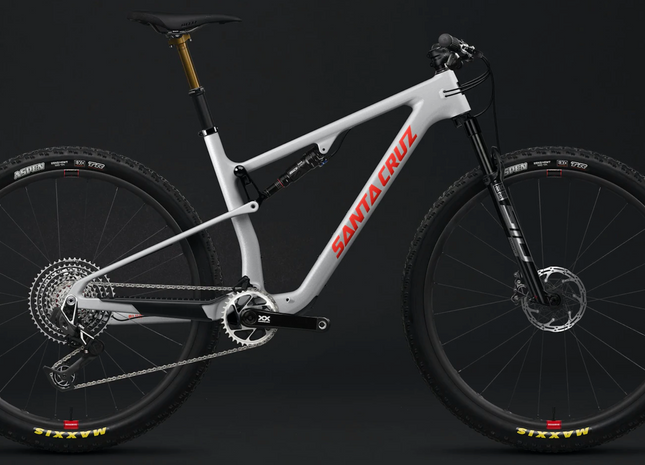 Santa Cruz - Blur - Grå