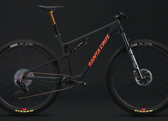 Santa Cruz - Blur - Sort