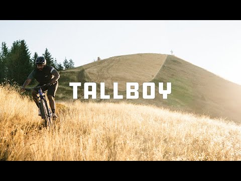 Santa Cruz - Tallboy - Blå